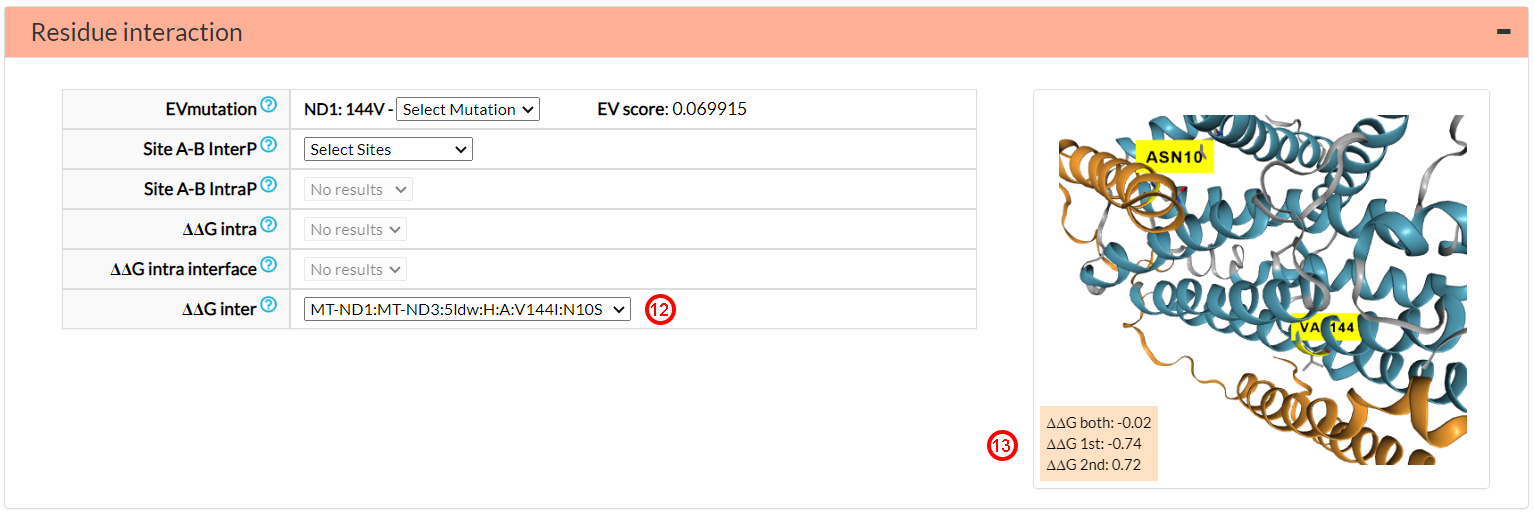 ΔΔG inter-protein energetic change