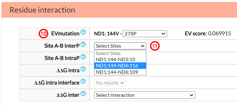 residue interactions